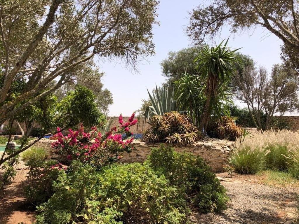 Gasthuis Les Jardins De Silona, Piscine Chauffee Essaouira