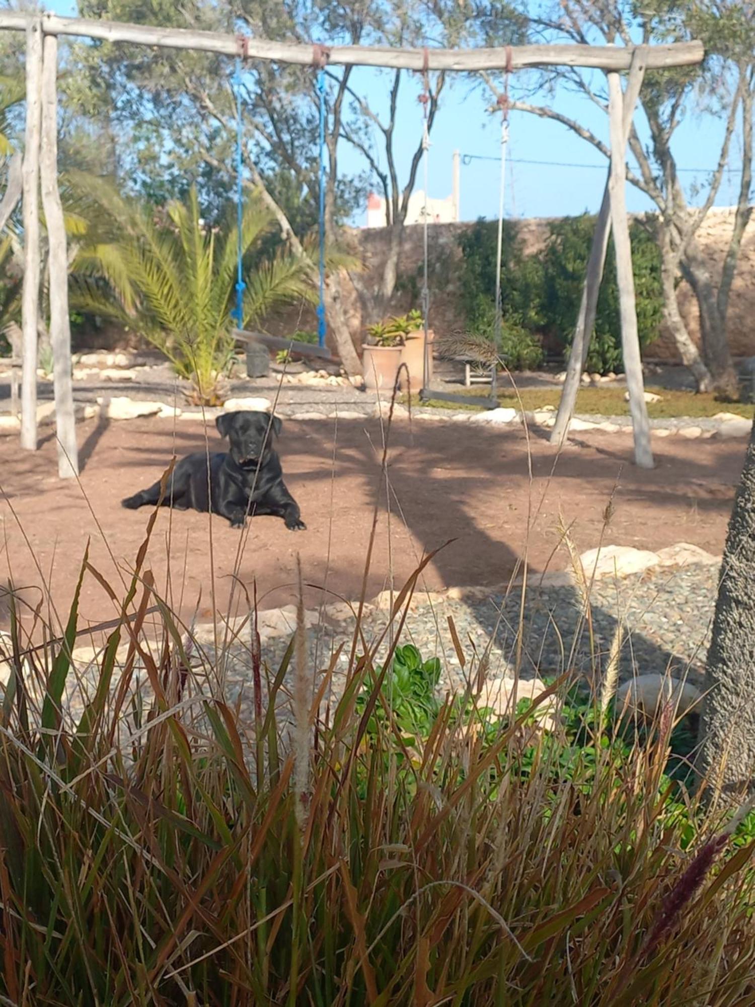 Les Jardins De Silona, Piscine Chauffee *