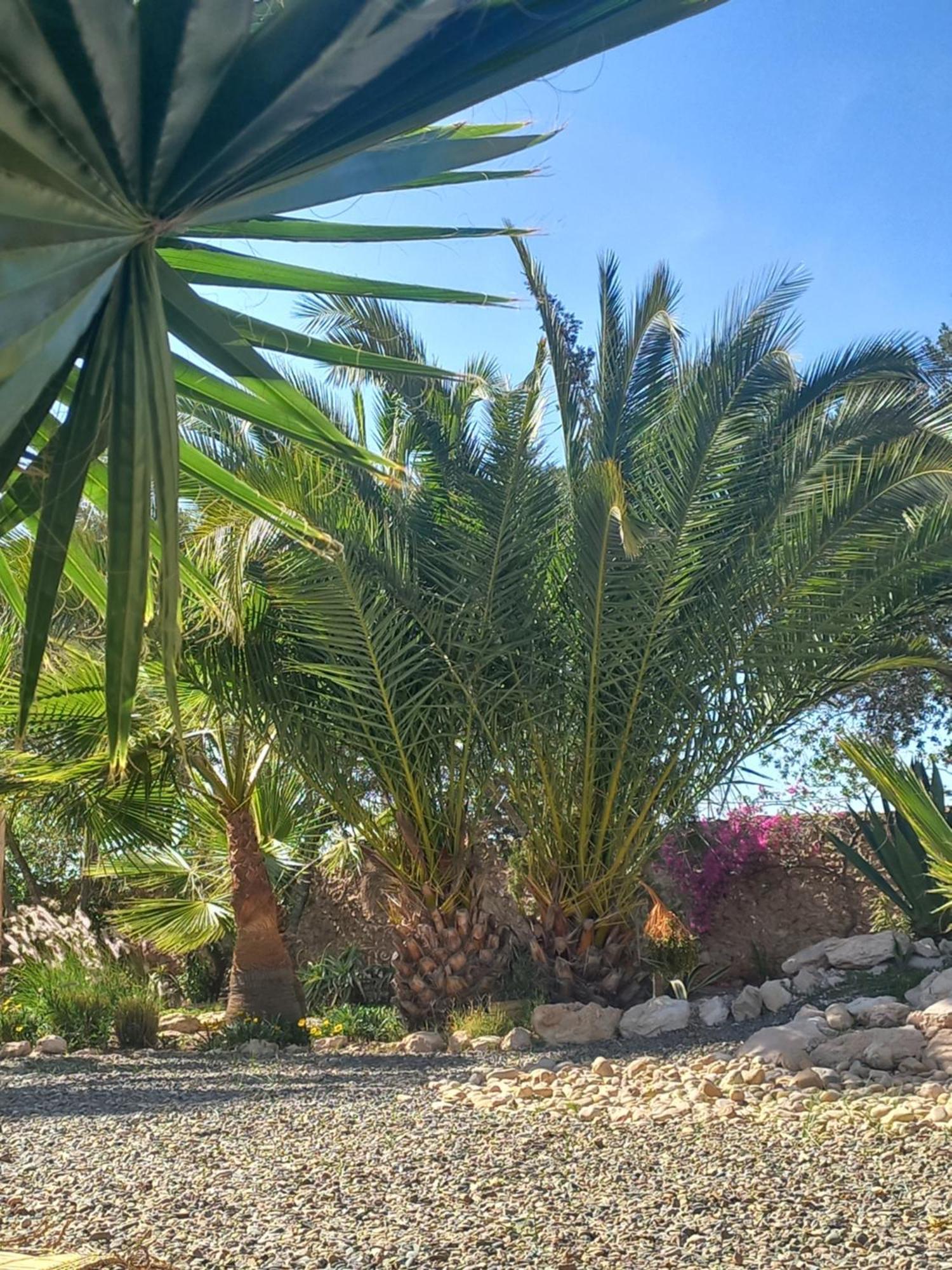 Les Jardins De Silona, Piscine Chauffee * Essaouira